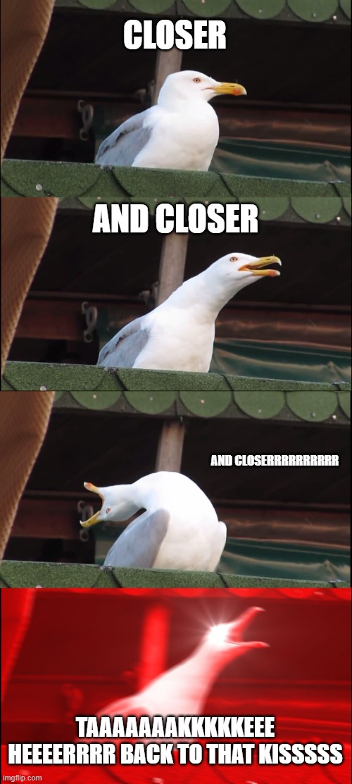 past is catching up to me final chorus build up | CLOSER; AND CLOSER; AND CLOSERRRRRRRRRR; TAAAAAAAKKKKKEEE HEEEERRRR BACK TO THAT KISSSSS | image tagged in memes,inhaling seagull | made w/ Imgflip meme maker