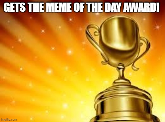 Award | GETS THE MEME OF THE DAY AWARD! | image tagged in award | made w/ Imgflip meme maker