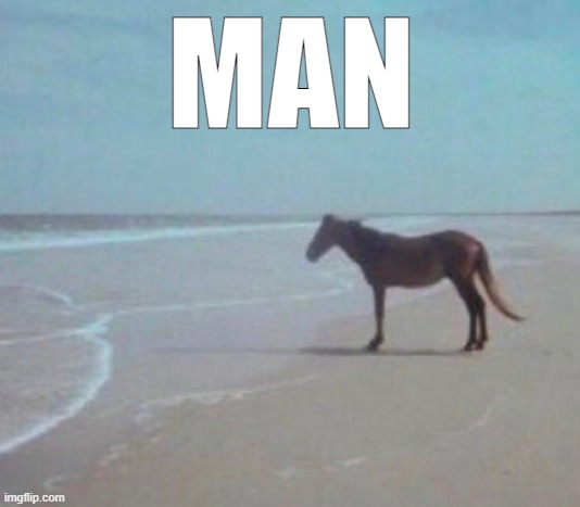 Man Horse Water | MAN | image tagged in man horse water | made w/ Imgflip meme maker