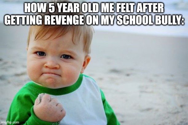 Success Kid Original | HOW 5 YEAR OLD ME FELT AFTER GETTING REVENGE ON MY SCHOOL BULLY: | image tagged in memes,success kid original,school,relatable | made w/ Imgflip meme maker