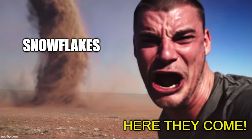 Here it comes | SNOWFLAKES HERE THEY COME! | image tagged in here it comes | made w/ Imgflip meme maker