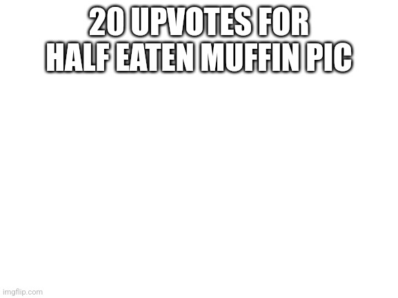 Idk | 20 UPVOTES FOR HALF EATEN MUFFIN PIC | image tagged in blank white template | made w/ Imgflip meme maker