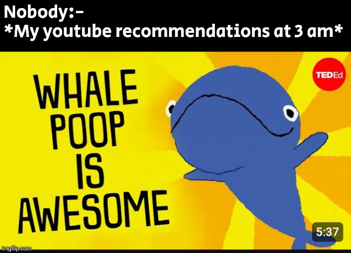 Nobody:-
*My youtube recommendations at 3 am* | made w/ Imgflip meme maker