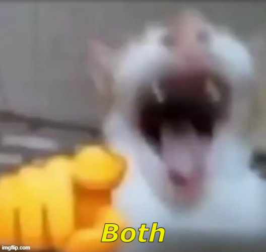 Both | made w/ Imgflip meme maker