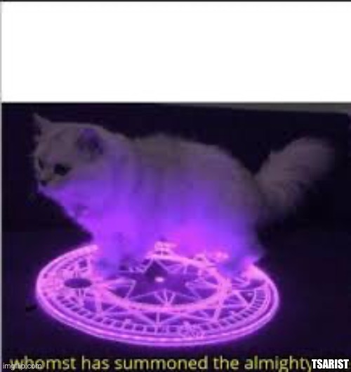 Whomst has Summoned the almighty one | TSARIST | image tagged in whomst has summoned the almighty one | made w/ Imgflip meme maker