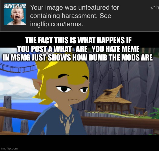 THE FACT THIS IS WHAT HAPPENS IF YOU POST A WHAT_ARE_YOU HATE MEME IN MSMG JUST SHOWS HOW DUMB THE MODS ARE | image tagged in high toon link | made w/ Imgflip meme maker