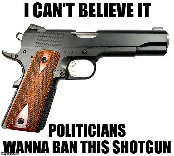 banned shotguns | I CAN'T BELIEVE IT; POLITICIANS WANNA BAN THIS SHOTGUN | image tagged in memes,funny memes | made w/ Imgflip meme maker