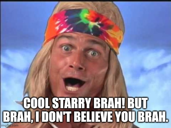 surfer | COOL STARRY BRAH! BUT BRAH, I DON'T BELIEVE YOU BRAH. | image tagged in surfer | made w/ Imgflip meme maker