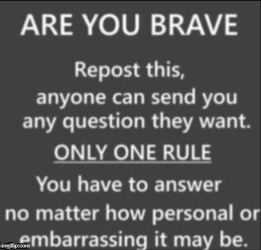 pls ask questions im bored | image tagged in are you brave | made w/ Imgflip meme maker