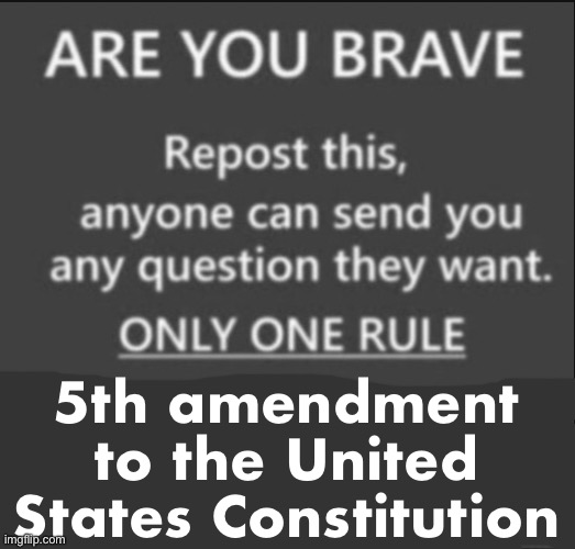 because fuck you | 5th amendment to the United States Constitution | image tagged in are you brave,no im not | made w/ Imgflip meme maker