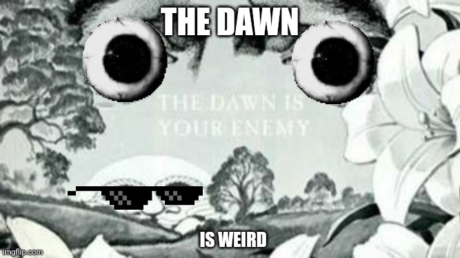 The Dawn is your enemy | THE DAWN; IS WEIRD | image tagged in the dawn is your enemy | made w/ Imgflip meme maker