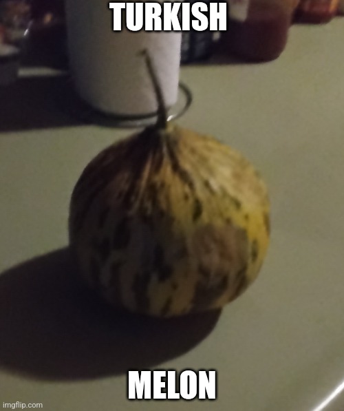 Melon | TURKISH; MELON | image tagged in melon | made w/ Imgflip meme maker