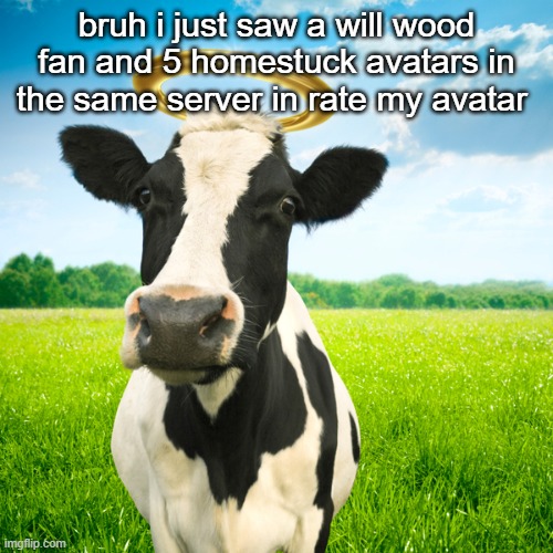 Holy Cow | bruh i just saw a will wood fan and 5 homestuck avatars in the same server in rate my avatar | image tagged in holy cow | made w/ Imgflip meme maker