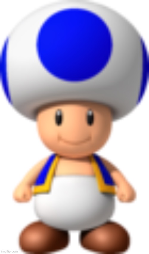 Toad | image tagged in toad | made w/ Imgflip meme maker