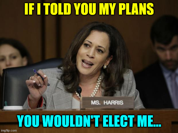 Kamala Harris | IF I TOLD YOU MY PLANS YOU WOULDN'T ELECT ME... | image tagged in kamala harris | made w/ Imgflip meme maker