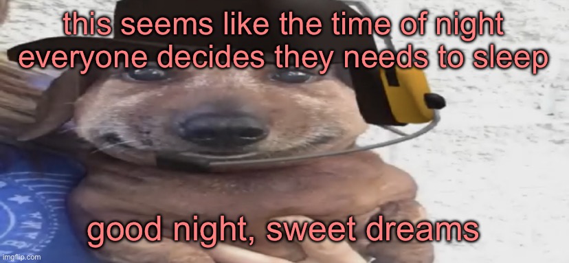 chucklenuts | this seems like the time of night everyone decides they needs to sleep; good night, sweet dreams | image tagged in chucklenuts | made w/ Imgflip meme maker