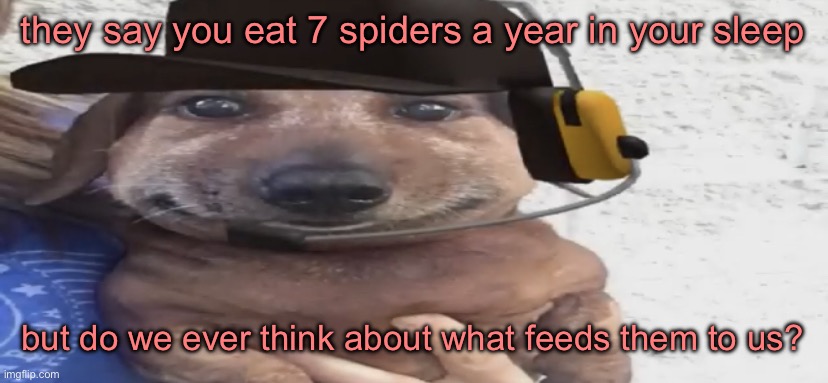 the spider feeder, he who lives in your attic | they say you eat 7 spiders a year in your sleep; but do we ever think about what feeds them to us? | image tagged in chucklenuts | made w/ Imgflip meme maker