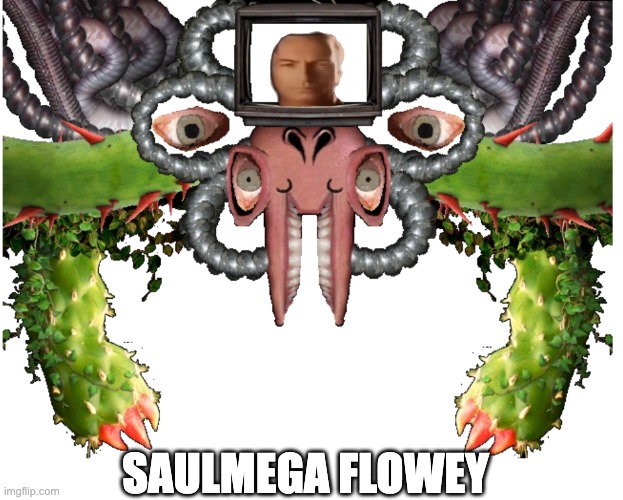 Blank Photoshop Flowey | SAULMEGA FLOWEY | image tagged in blank photoshop flowey | made w/ Imgflip meme maker