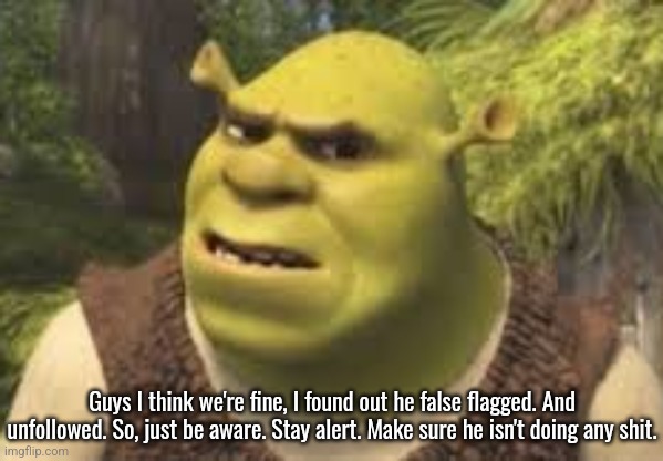 Confused shrek | Guys I think we're fine, I found out he false flagged. And unfollowed. So, just be aware. Stay alert. Make sure he isn't doing any shit. | image tagged in confused shrek,news,important | made w/ Imgflip meme maker