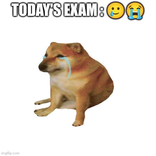 Cheems sad | TODAY'S EXAM : 🥲😭 | image tagged in cheems sad | made w/ Imgflip meme maker