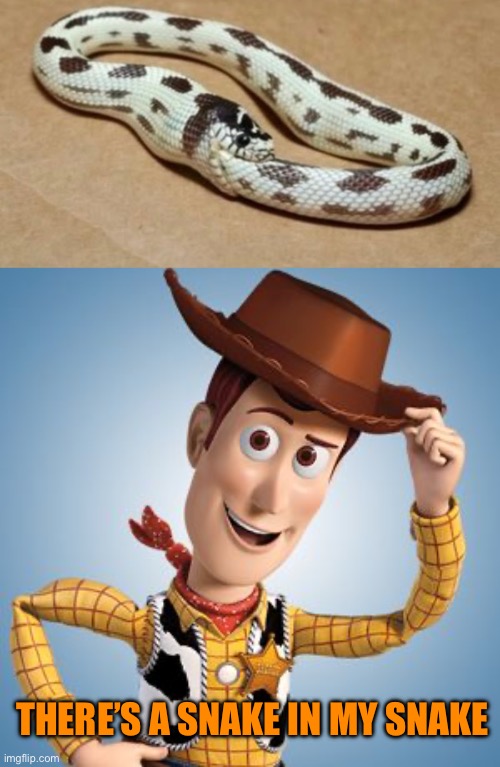 There’s a snake in my…… | THERE’S A SNAKE IN MY SNAKE | image tagged in memes,woody,toy story,snakes,theres a snake in my boot,comics/cartoons | made w/ Imgflip meme maker