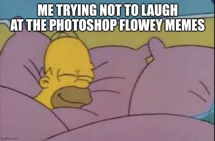 how i sleep homer simpson | ME TRYING NOT TO LAUGH AT THE PHOTOSHOP FLOWEY MEMES | image tagged in how i sleep homer simpson | made w/ Imgflip meme maker