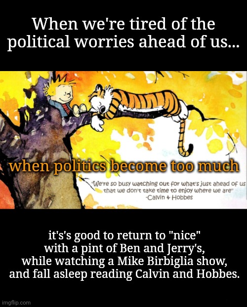 Remember the Return to Nice | When we're tired of the political worries ahead of us... when politics become too much; it's's good to return to "nice" with a pint of Ben and Jerry's,
while watching a Mike Birbiglia show,
and fall asleep reading Calvin and Hobbes. | image tagged in calvin and hobbes,dnc,politics,mike birbiglia,ben and jerry's | made w/ Imgflip meme maker