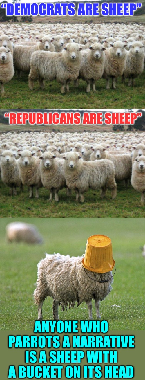 It’s ba-aa-aa-aad to not follow the herd | “DEMOCRATS ARE SHEEP”; “REPUBLICANS ARE SHEEP”; ANYONE WHO PARROTS A NARRATIVE IS A SHEEP WITH A BUCKET ON ITS HEAD | image tagged in stupid sheep,think for yourself,political meme,politicians,buckethead,voters | made w/ Imgflip meme maker