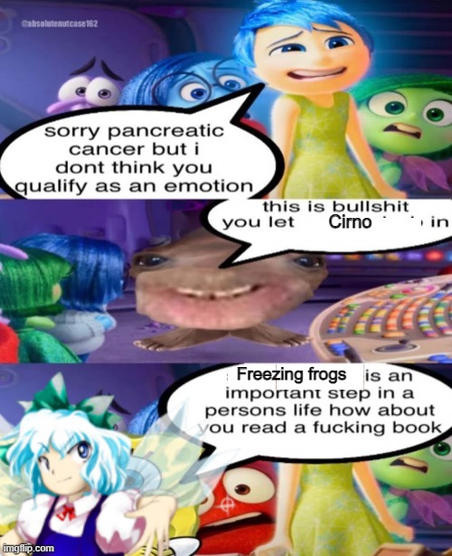 kirno | Cirno; Freezing frogs | image tagged in sorry pancreatic cancer,touhou,cirno,cancer,frogs,inside out | made w/ Imgflip meme maker