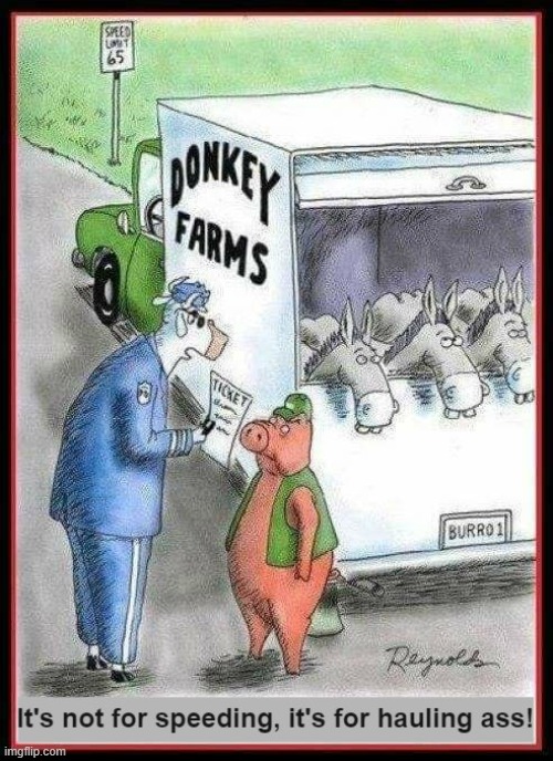 There should be a Law... against tickets~! | image tagged in vince vance,pigs,donkey,cow,speeding ticket,cartoon | made w/ Imgflip meme maker