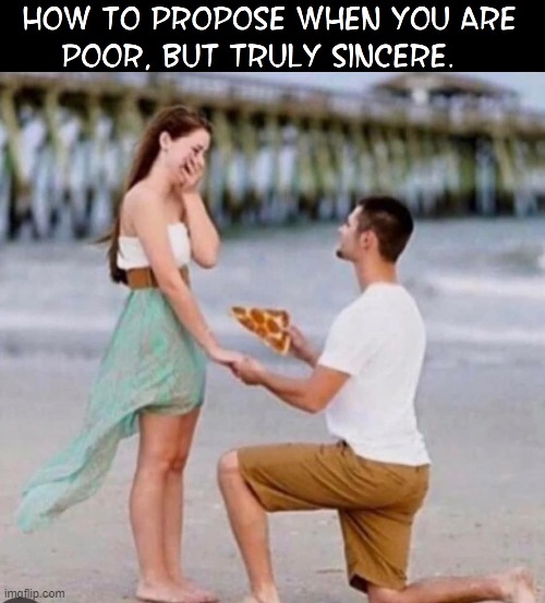 No, it's not a ring, but you can't eat a diamond | image tagged in vince vance,memes,propose,pizza,ring,taking a knee | made w/ Imgflip meme maker