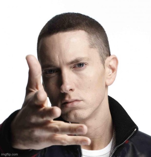 EMINEM | image tagged in eminem video game logic | made w/ Imgflip meme maker