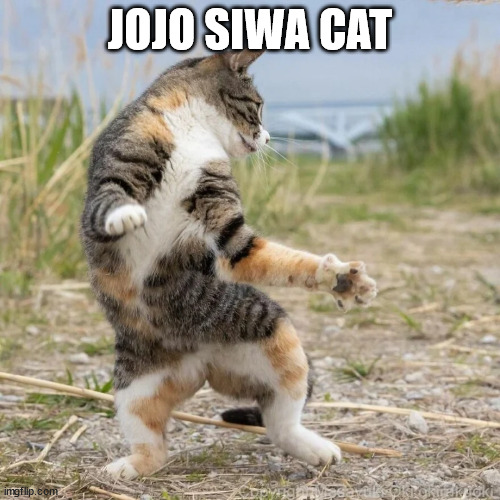 Jojo Siwa!!!!! im a huge fan, i love her music!!! | JOJO SIWA CAT | image tagged in cat,jojo siwa | made w/ Imgflip meme maker