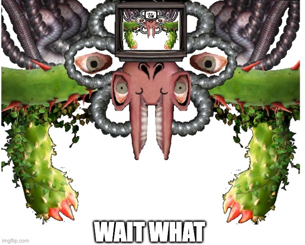 Blank Photoshop Flowey | WAIT WHAT | image tagged in blank photoshop flowey | made w/ Imgflip meme maker