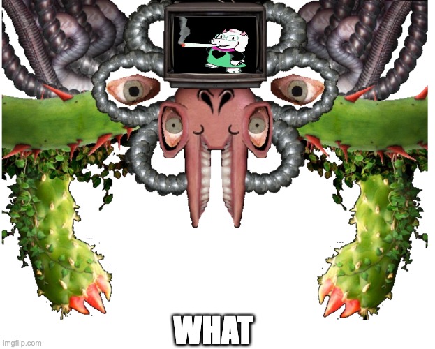 Blank Photoshop Flowey | WHAT | image tagged in blank photoshop flowey | made w/ Imgflip meme maker