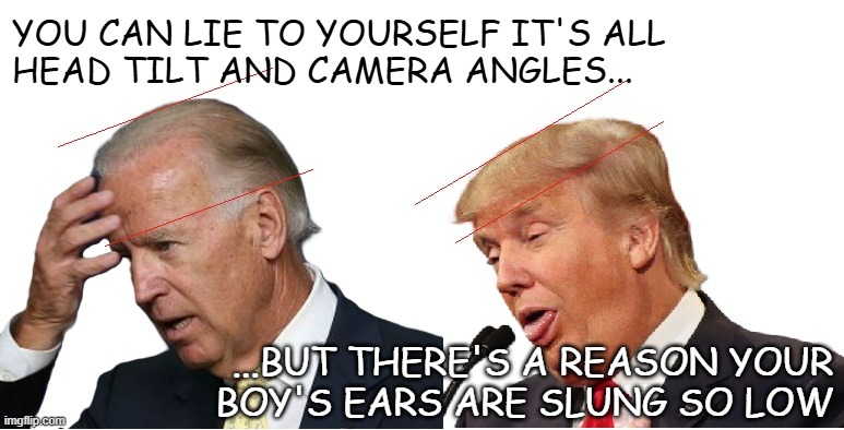 "Big-brain vs. Peabrain" *OR* "It  doesn't feel good pointing this out, but Trump must never be given the wheel again." | YOU CAN LIE TO YOURSELF IT'S ALL
HEAD TILT AND CAMERA ANGLES... ...BUT THERE'S A REASON YOUR
BOY'S EARS ARE SLUNG SO LOW | image tagged in big brain vs peabrain,trump unfit unqualified dangerous | made w/ Imgflip meme maker