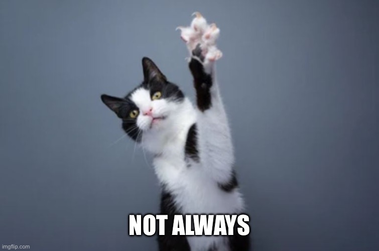 Cat with Claws | NOT ALWAYS | image tagged in cat with claws | made w/ Imgflip meme maker