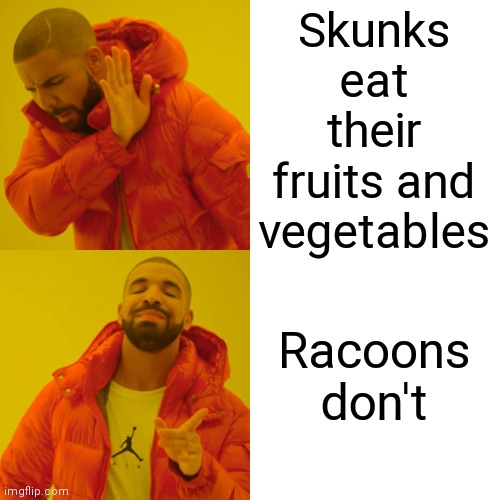 Did You Know ... | Skunks eat their fruits and vegetables; Racoons
don't | image tagged in memes,drake hotline bling,racoon,skunk,wild animals,woah that's interesting but i sure dont care | made w/ Imgflip meme maker