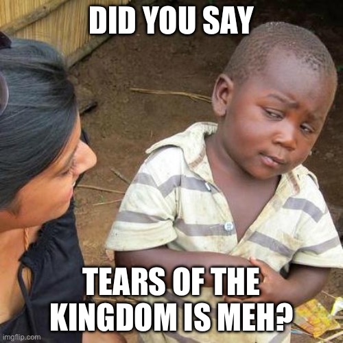 Third World Skeptical Kid | DID YOU SAY; TEARS OF THE KINGDOM IS MEH? | image tagged in memes,third world skeptical kid | made w/ Imgflip meme maker