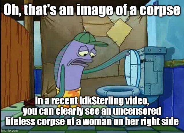 ㅤ | Oh, that's an image of a corpse; In a recent IdkSterling video, you can clearly see an uncensored lifeless corpse of a woman on her right side | image tagged in spongebob oh that's real nice,idksterling,youtube shorts | made w/ Imgflip meme maker