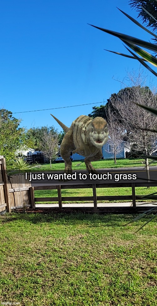 I just wanted to touch grass | made w/ Imgflip meme maker