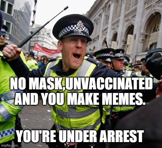 British Constable | NO MASK,UNVACCINATED AND YOU MAKE MEMES. YOU'RE UNDER ARREST | image tagged in british constable | made w/ Imgflip meme maker