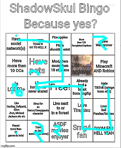 Shadow bingo | image tagged in shadow bingo | made w/ Imgflip meme maker