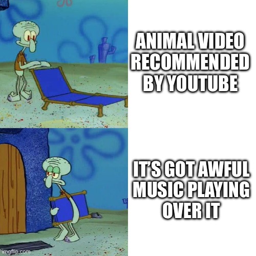 Squidward chair | ANIMAL VIDEO
RECOMMENDED
BY YOUTUBE; IT’S GOT AWFUL
MUSIC PLAYING

OVER IT | image tagged in squidward chair | made w/ Imgflip meme maker