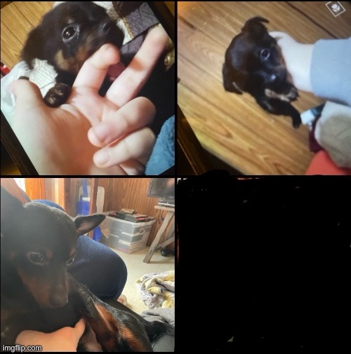 why did he grow | made w/ Imgflip meme maker