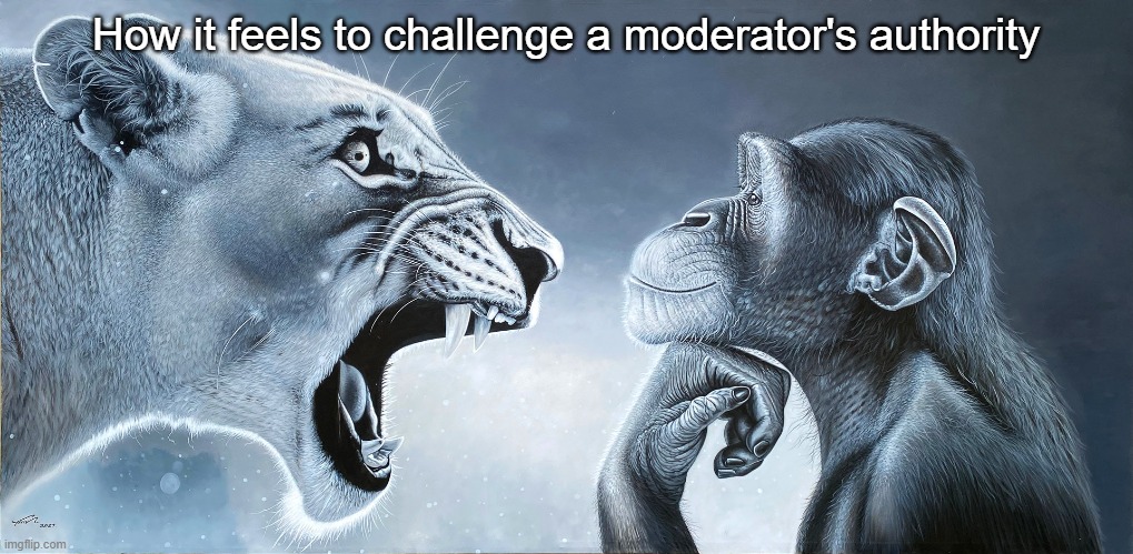 it does feel like that | How it feels to challenge a moderator's authority | image tagged in lion roars at monkey,memes,power,what gives people feelings of power,why are you reading this | made w/ Imgflip meme maker