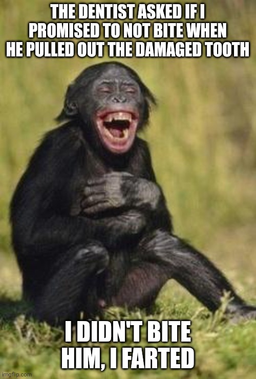 Laughing monkey | THE DENTIST ASKED IF I PROMISED TO NOT BITE WHEN HE PULLED OUT THE DAMAGED TOOTH; I DIDN'T BITE HIM, I FARTED | image tagged in laughing monkey | made w/ Imgflip meme maker