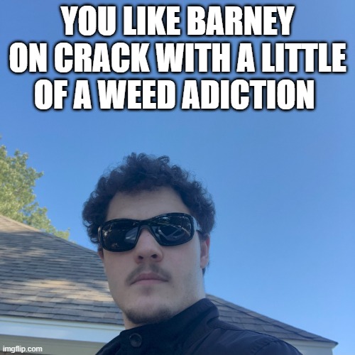 YOU LIKE BARNEY ON CRACK WITH A LITTLE OF A WEED ADICTION | image tagged in instant roast | made w/ Imgflip meme maker