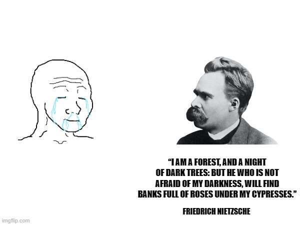 Why, thank you king. | “I AM A FOREST, AND A NIGHT OF DARK TREES: BUT HE WHO IS NOT AFRAID OF MY DARKNESS, WILL FIND BANKS FULL OF ROSES UNDER MY CYPRESSES.”; FRIEDRICH NIETZSCHE | image tagged in philosophy,nietzsche | made w/ Imgflip meme maker