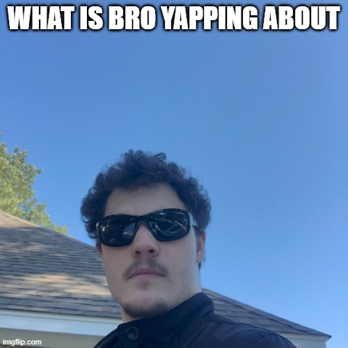 WHAT IS BRO YAPPING ABOUT | image tagged in instant roast | made w/ Imgflip meme maker